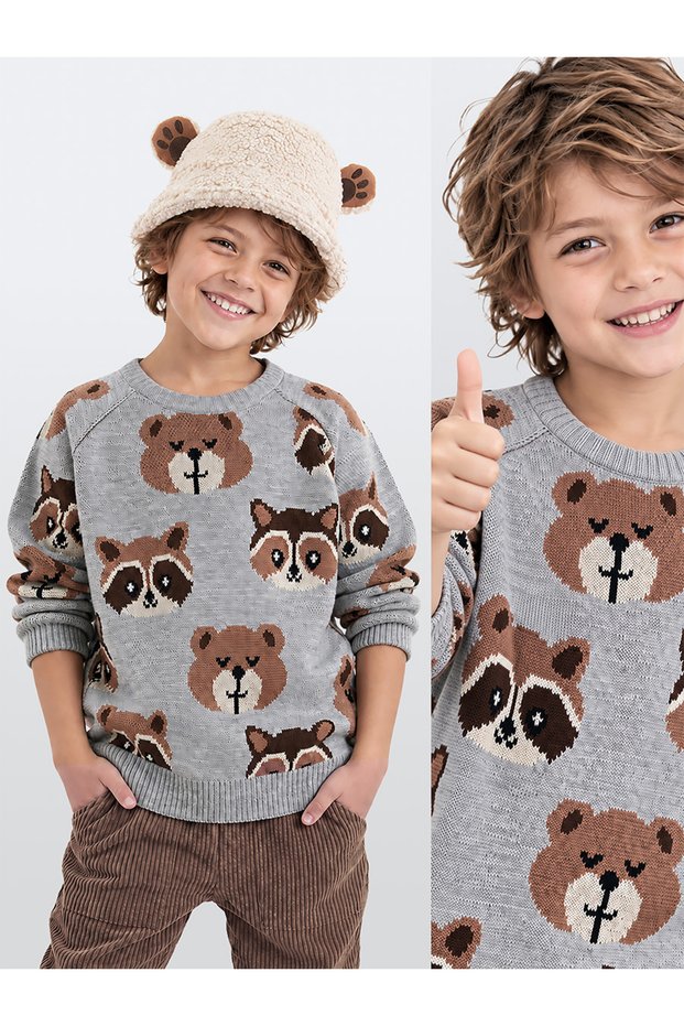 Bear Raccoon Boy's Gray Knitwear Sweater