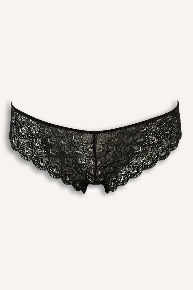 Floral Patterned Lace Brazilian Panties I0814Ax26Au