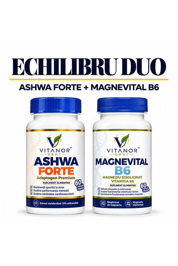 Duo de echilibru