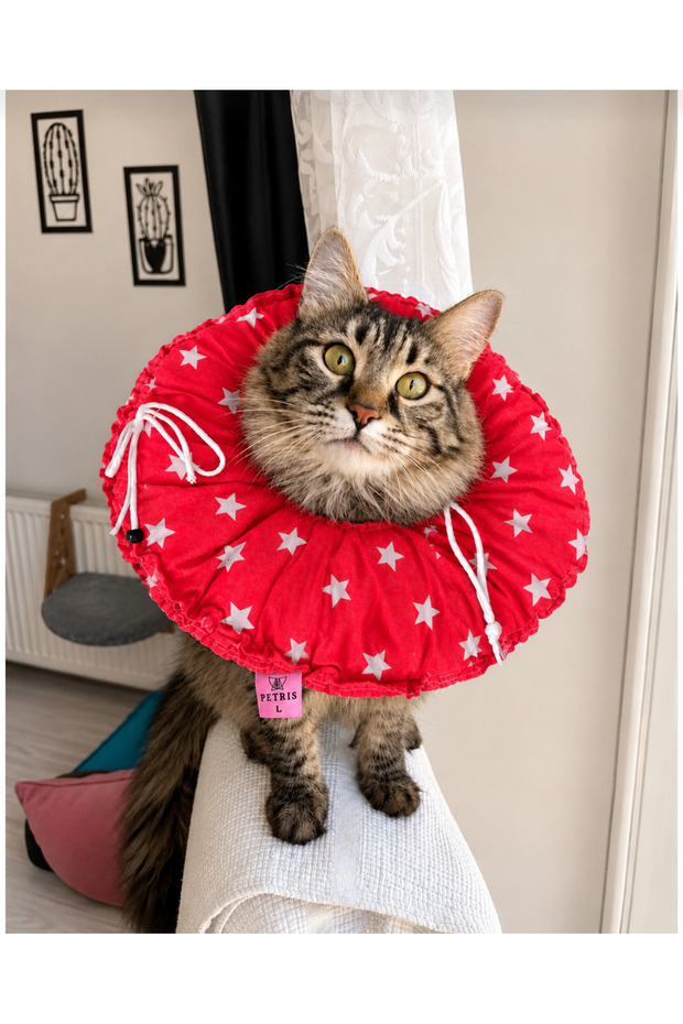 Custom L Size Pool Model-Cat Dog Funnel Operation Neck Collar, Collar, Pillow, Elizabeth (Outer Edge Diameter: 34-36 cm Inner Edge: 30-33 cm)