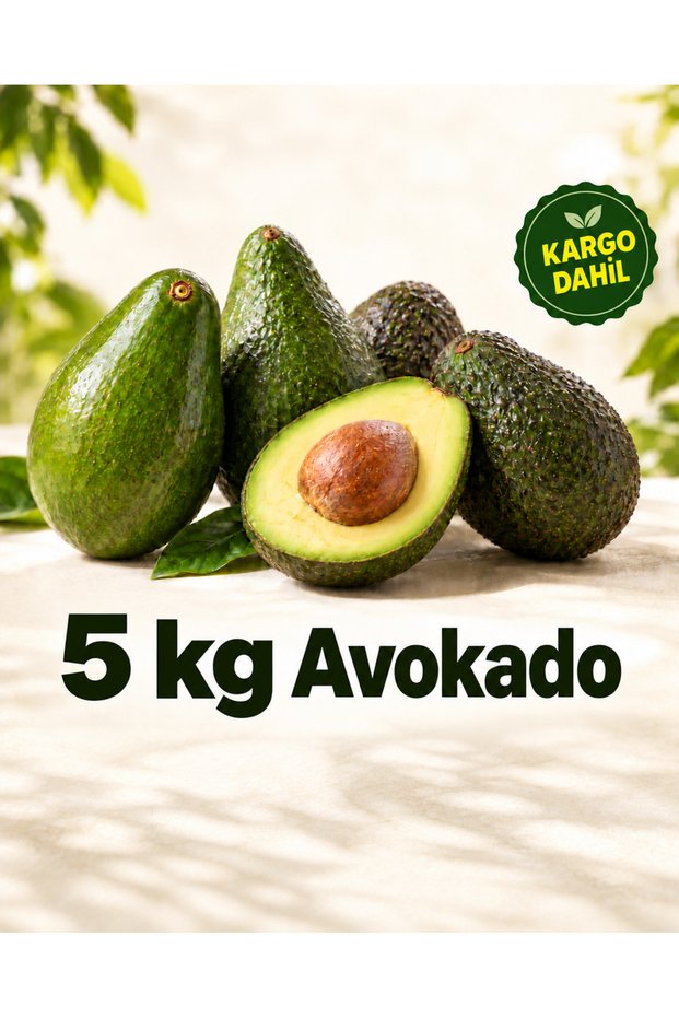 Avokado 5 kilo