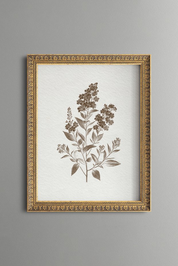 Floral Botanical Branch on Cream Background - Vintage Patterned Painting - Fine Model