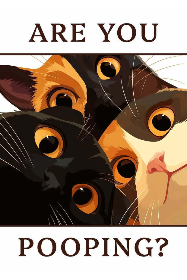 Are You Pooping Cat Funny Metal Poster - Magnetic Wall Art Print