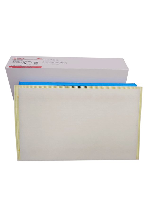 Genuine 1109110XP6EXA Engine Air Filter for Poer Wingle 7 Wingle 5 2018 Onwards 2.0L