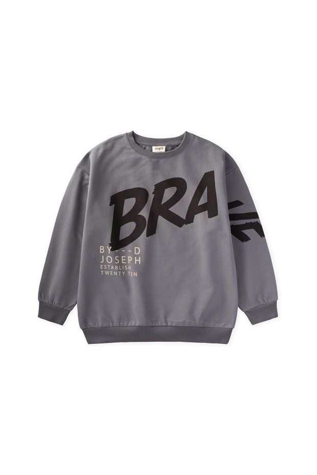 Printed Boys' Winter Sweatshirt 8-12 Years Gray