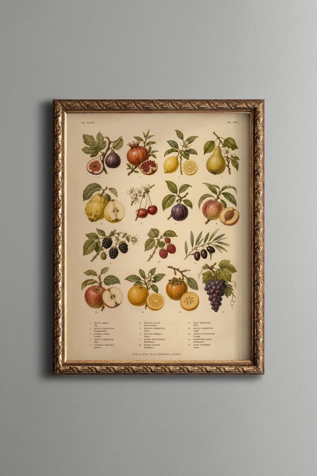 Fruits - Vintage Patterned Painting - Fine Model