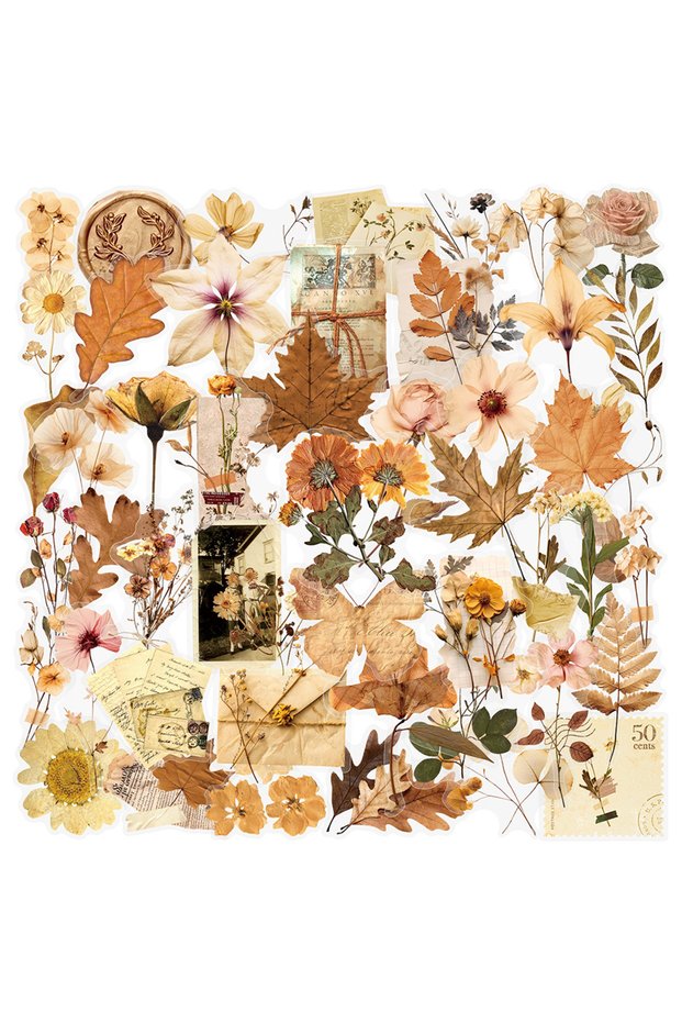 50PCS 10/30/50pcs Transparent Dried Flower Leaf Specimens Stickers Aesthetic Decorative Stationery D