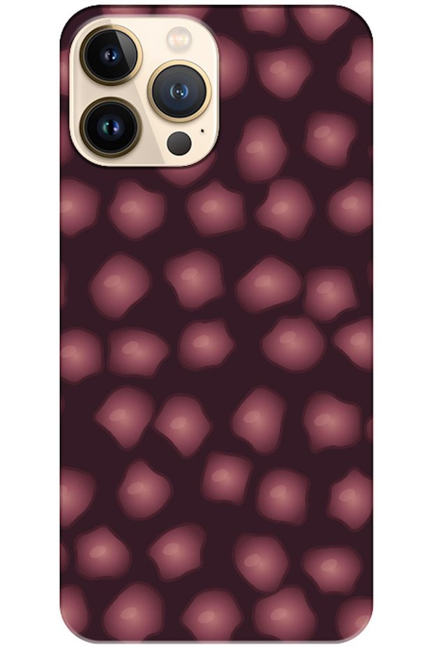iPhone 13 Pro Pebble Burgundy (Burgundy)
