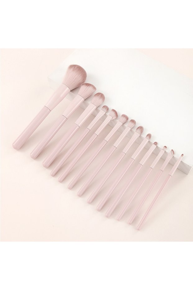 13 Pcs Makeup Brush Set for Beginners, Eye Shadow, Blush, Contour, Blend, Nose Shadow, Concealer, Co