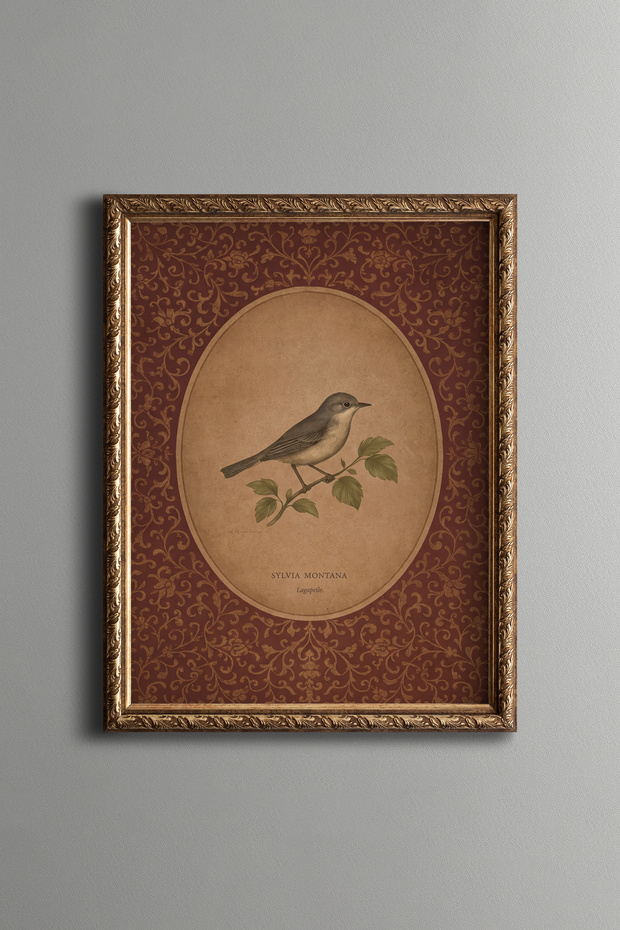 Oval Bird Illustration on a Burgundy Patterned Background - Vintage Patterned Painting - Fine Model