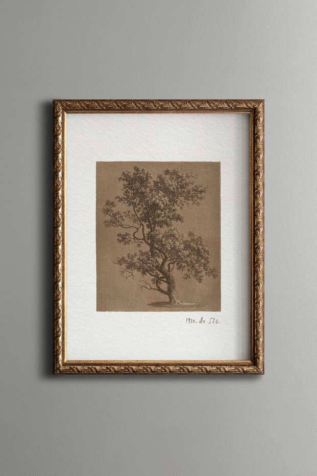 Botanical Tree Illustration on White Background - Vintage Patterned Painting - Fine Model
