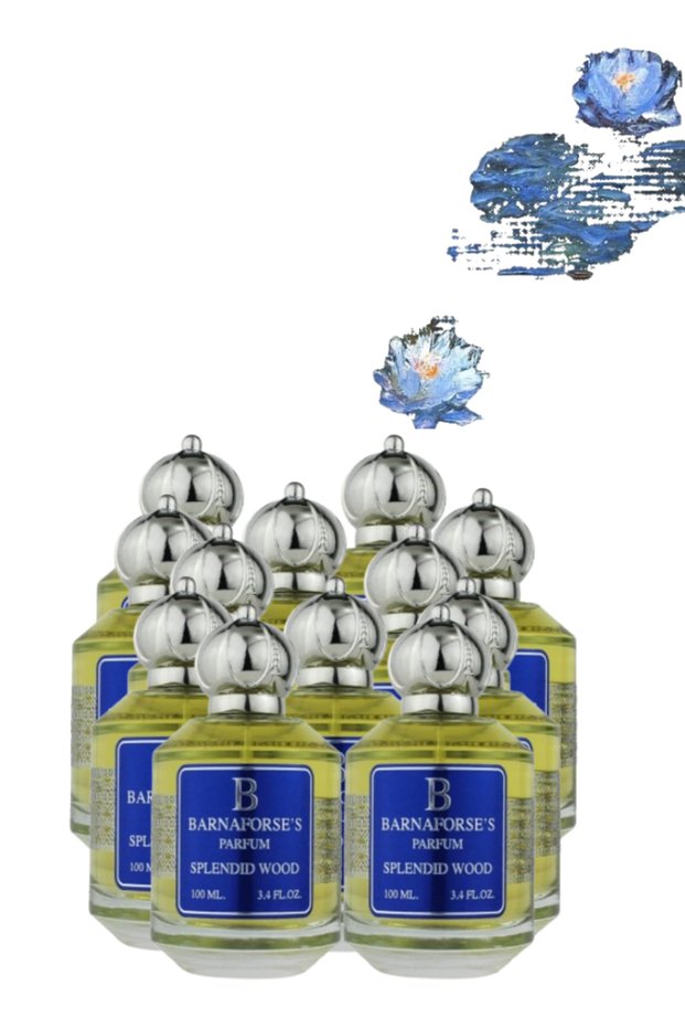 12 قطعة من عطر سبلينديد وود 100 مل