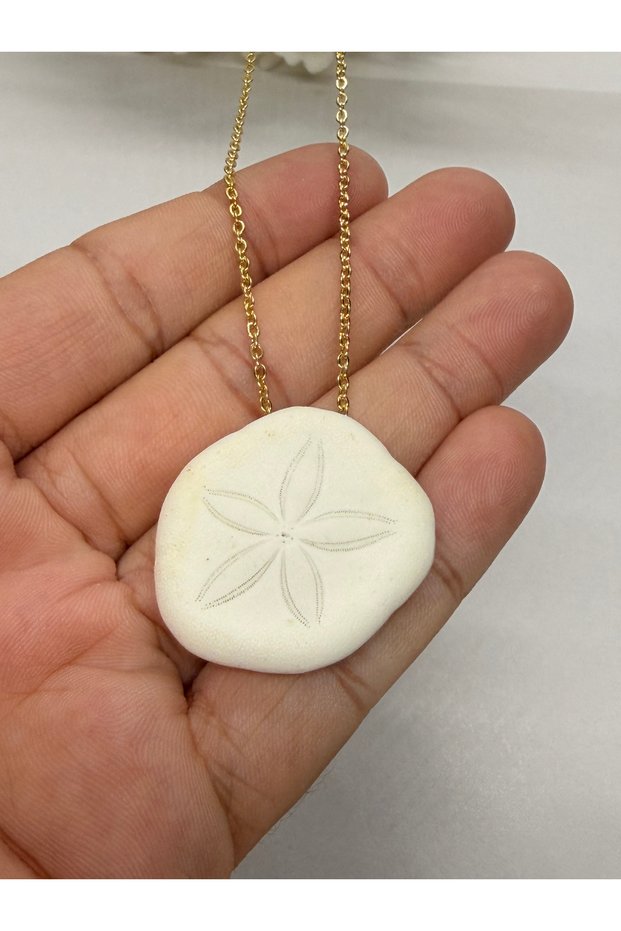 Seacookie Shell Necklace