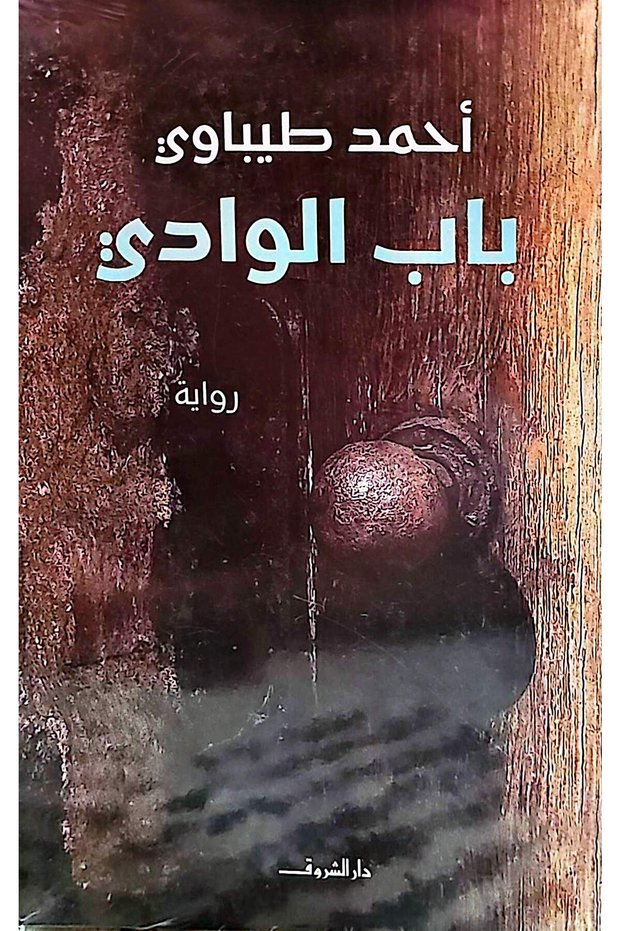 باب الوادي