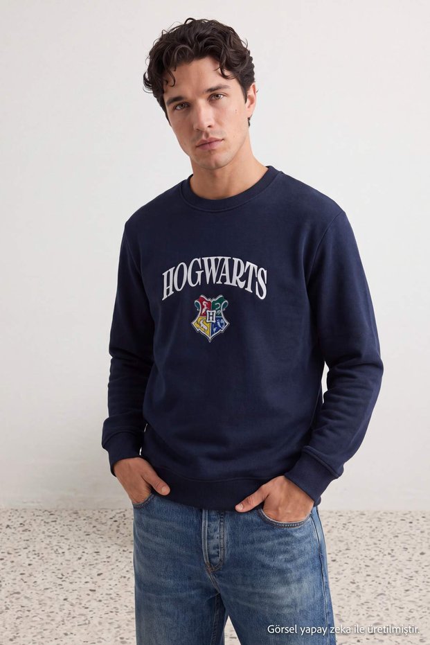 Navy Blue Regular Off-Shoulder Harry Potter Licensed Sweatshirt Tmnaw27Sw00035