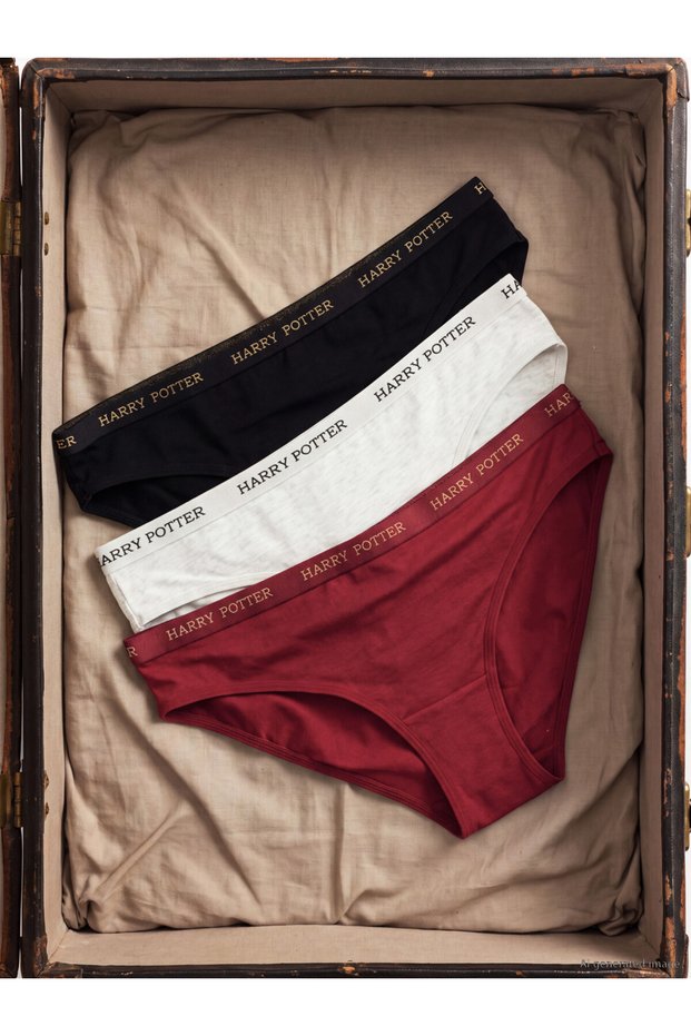 Sparkling Choices from Shining Store Harry Potter Printed Bikini Briefs 3-Piece