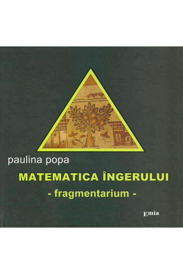 Matematica ingerului - Paulina Popa