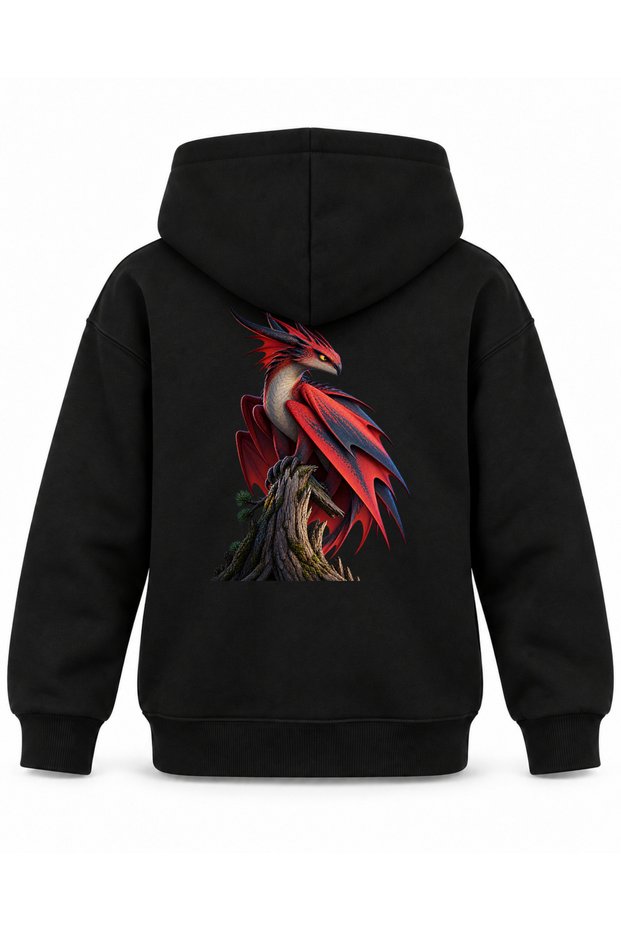 How to Train Your Dragon Cloud Claw Printed Black Kids Hoodie