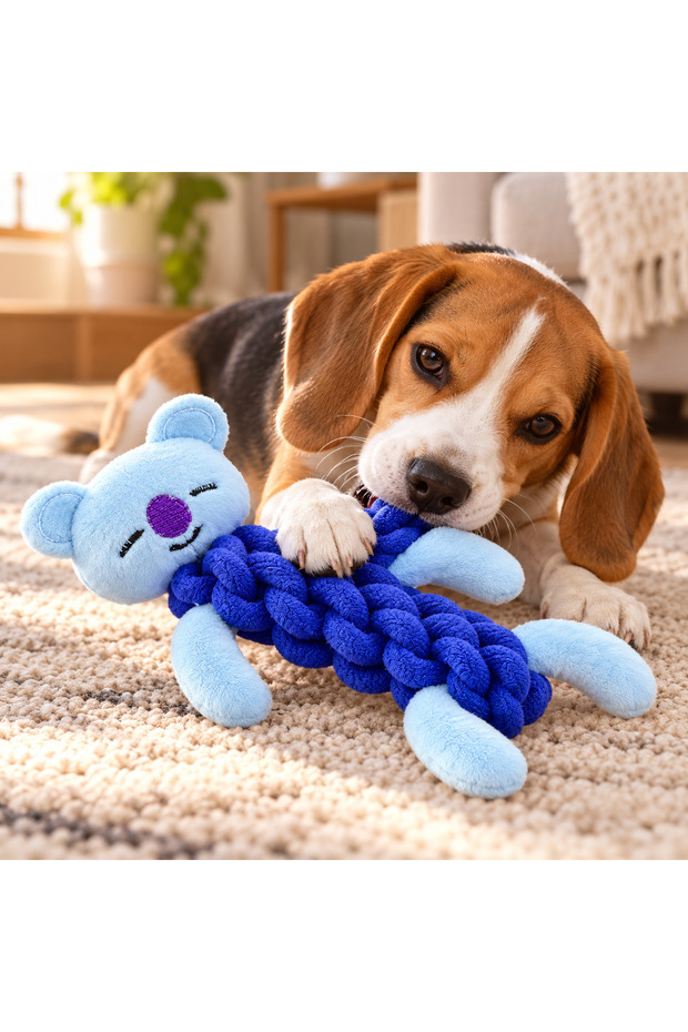 Rope Toothbrushing Dog Toy Koalalu 19cm
