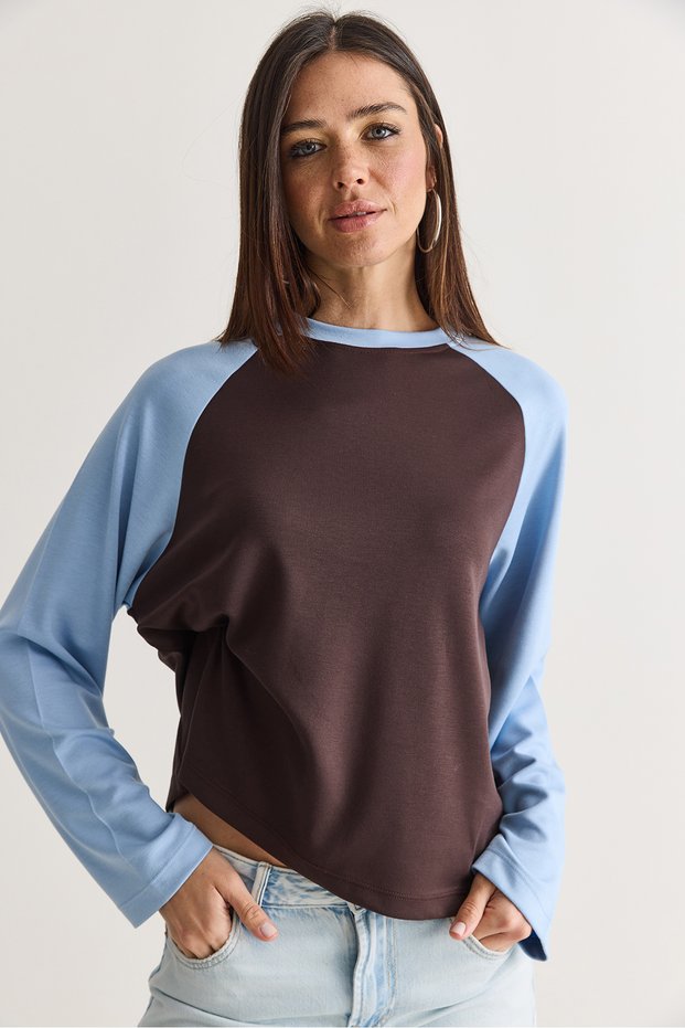 Women's Brown-Blue Regular Raglan Sleeve Color Block Long Sleeve Sweatshirt 928 60286777