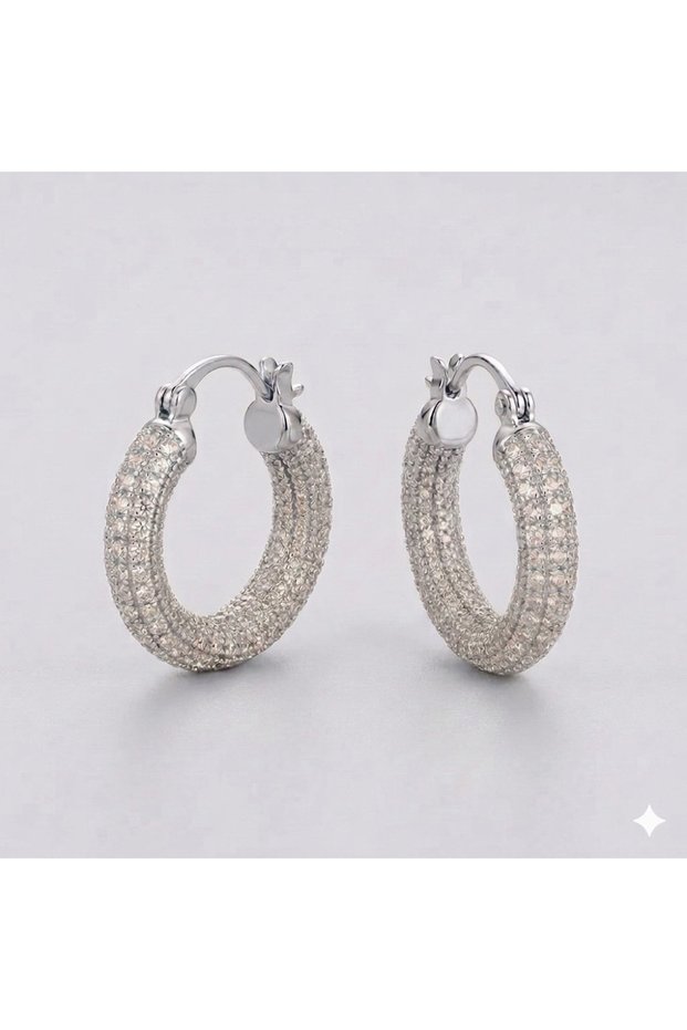 Special Series Zircon Stone Steel Hoop Earrings - Gift Boxed