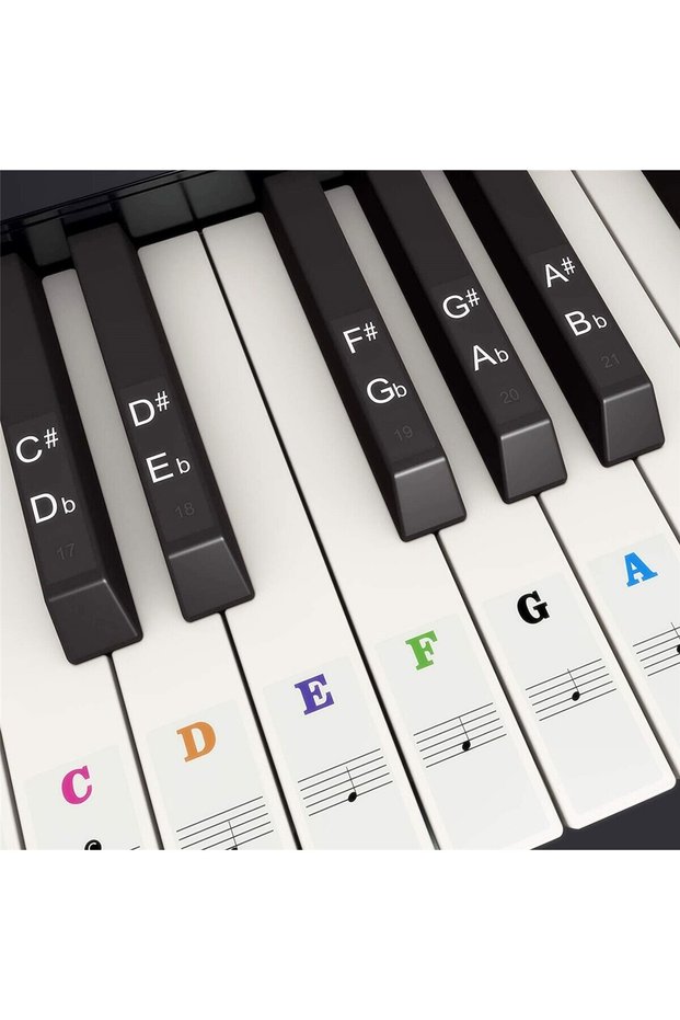 Piano Keyboard Stickers for 37 49 54 61 88 White and Black Keys Music Electronic Piano Keyboard Note