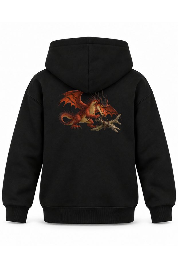 How to Train Your Dragon Red Knot Printed Black Kids Hoodie