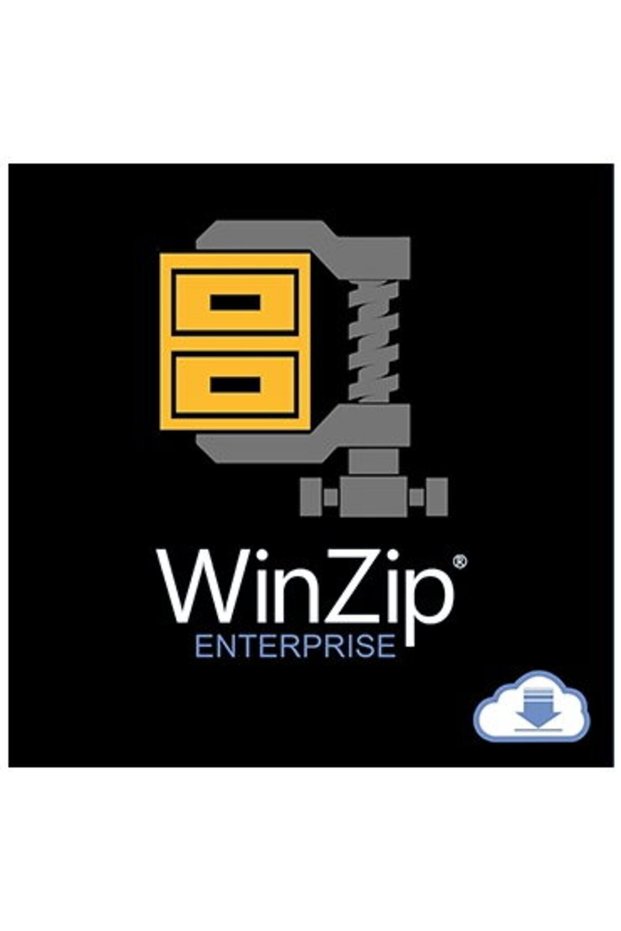 Licenta Software WinZip Enterprise, permanenta, Windows OS