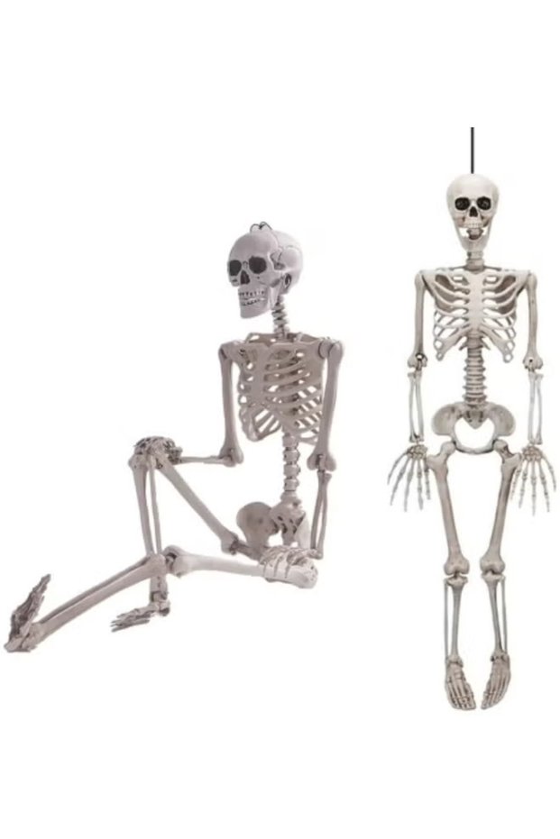 Multi Size Realistic Human Skeleton Prop 90cm/165cm/185cm, Fully Movable Joints, Skull Ornament for Halloween Decoration, Haunted House & Party Display