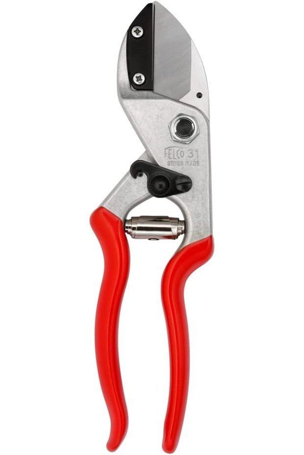 Model 4 Standard Secateurs