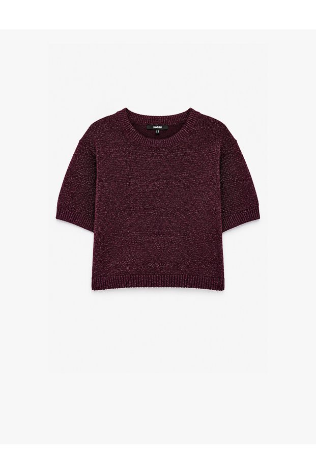 Regular Fit Crew Neck Short Sleeve Glittery Knit Sweater