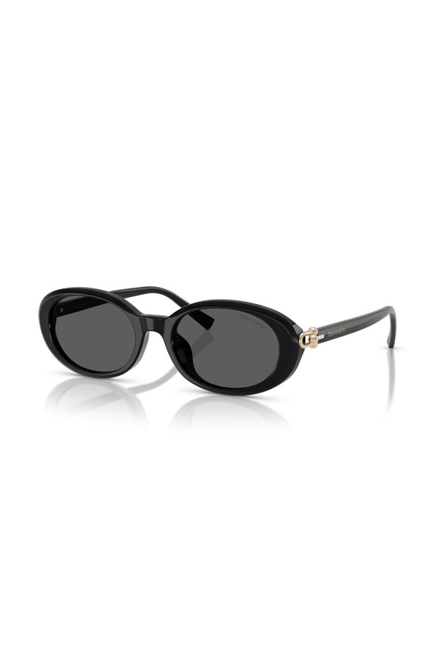 . Tf4242-D C.8361/S4 54-19 Sunglasses