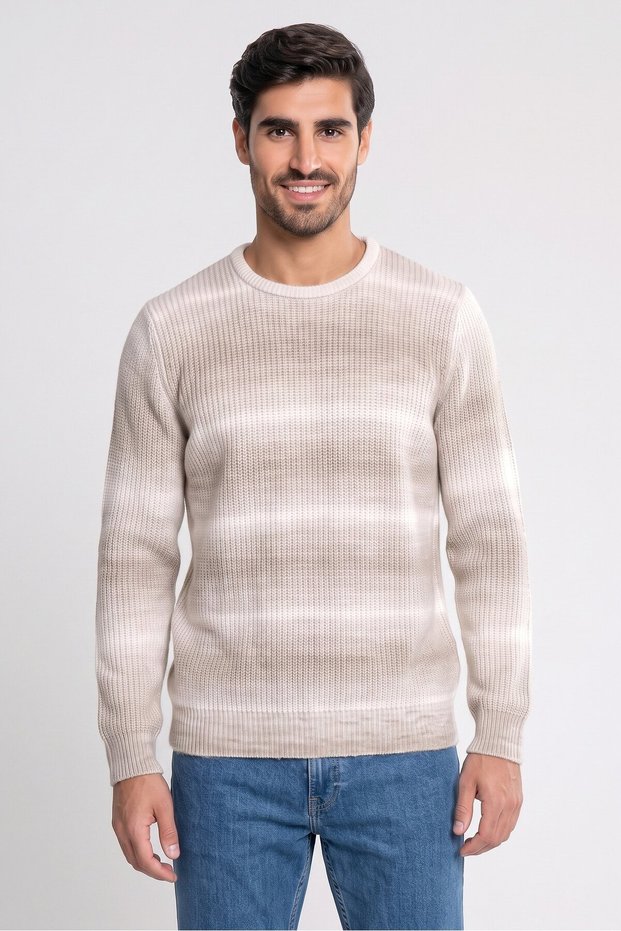 Men Crew Neck Textured Sweater, Multicolor