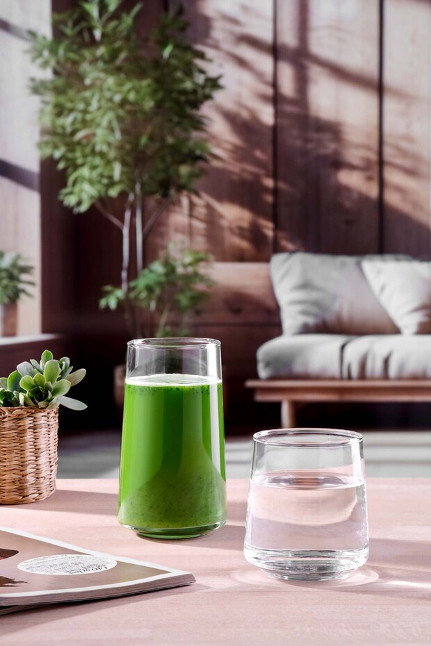 6-Pack Tokyo Water Glass 270 Cc