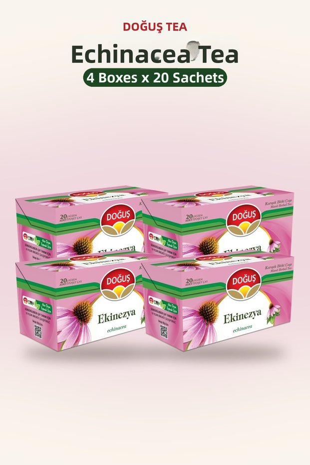 Echinacea Tea 20 Filtered Bags X 4 Boxes