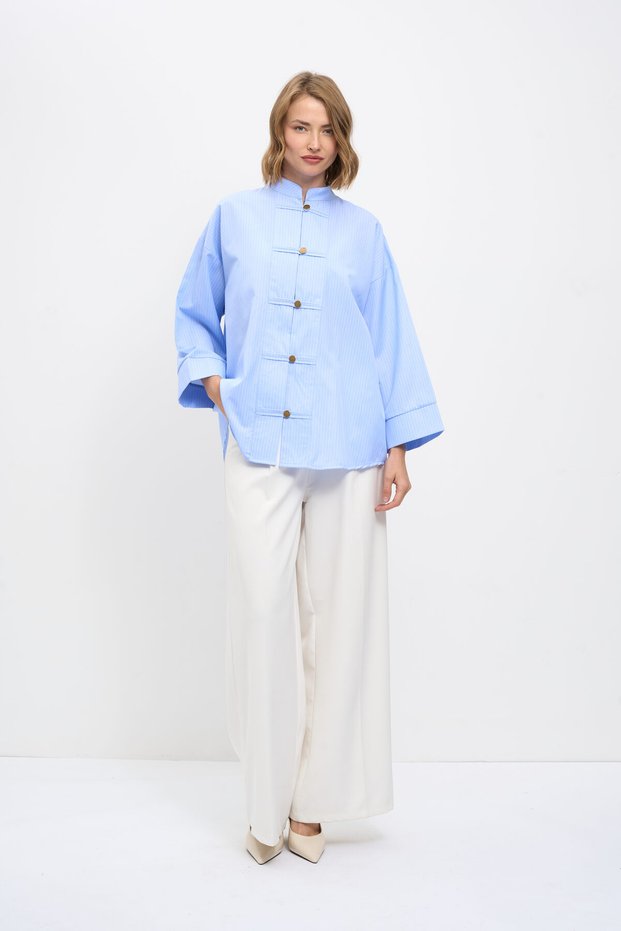 Stripe Detailed Shirt