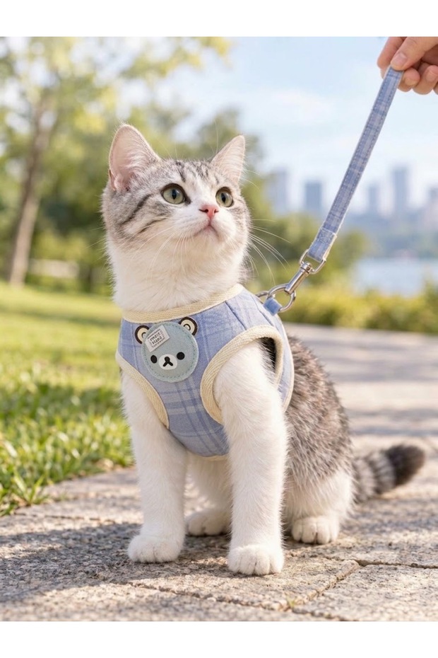 Pet Teddy Bear Patterned Plaid Chest Harness - Set Leash