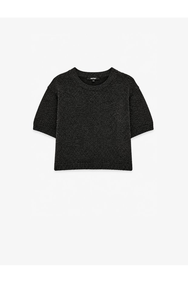 Regular Fit Crew Neck Short Sleeve Glittery Knit Sweater
