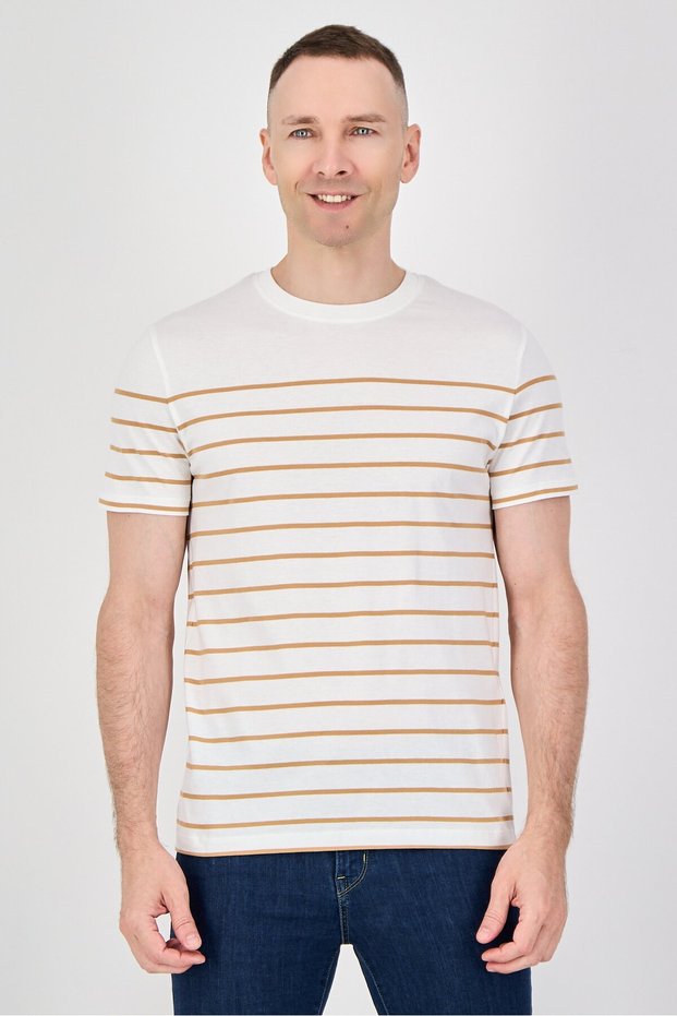 Men Crew Neck Short Sleeve Stripe T-Shirt, Multicolor
