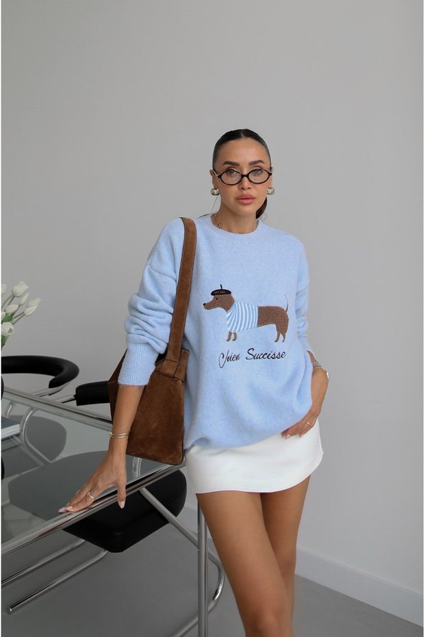 Baby Blue Dog Embroidered Soft Sweater