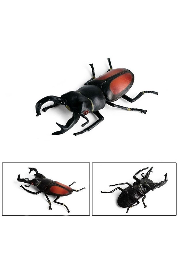 Style 10 Realistic Insect Animals Model Longhornedbee Science Beetle Action Figures Dynastes Wild In