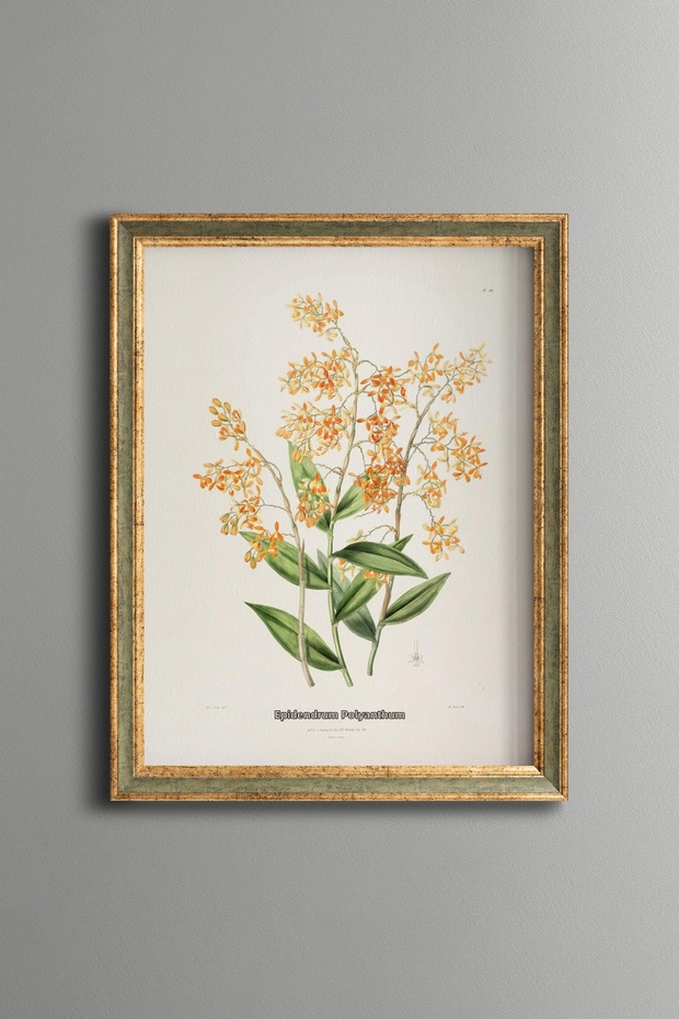 Orchid Branch - Vintage Patterned Painting - Slim Frame
