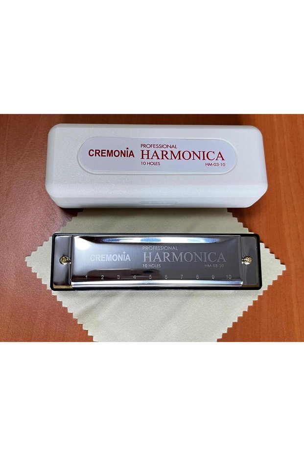 Hm0310 Professional Harmonica | 10 Hole Instrument