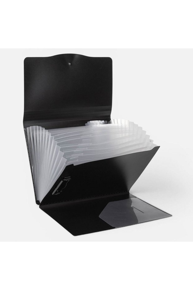 Black Bellows Folder for A4 Documents with Label & Clips