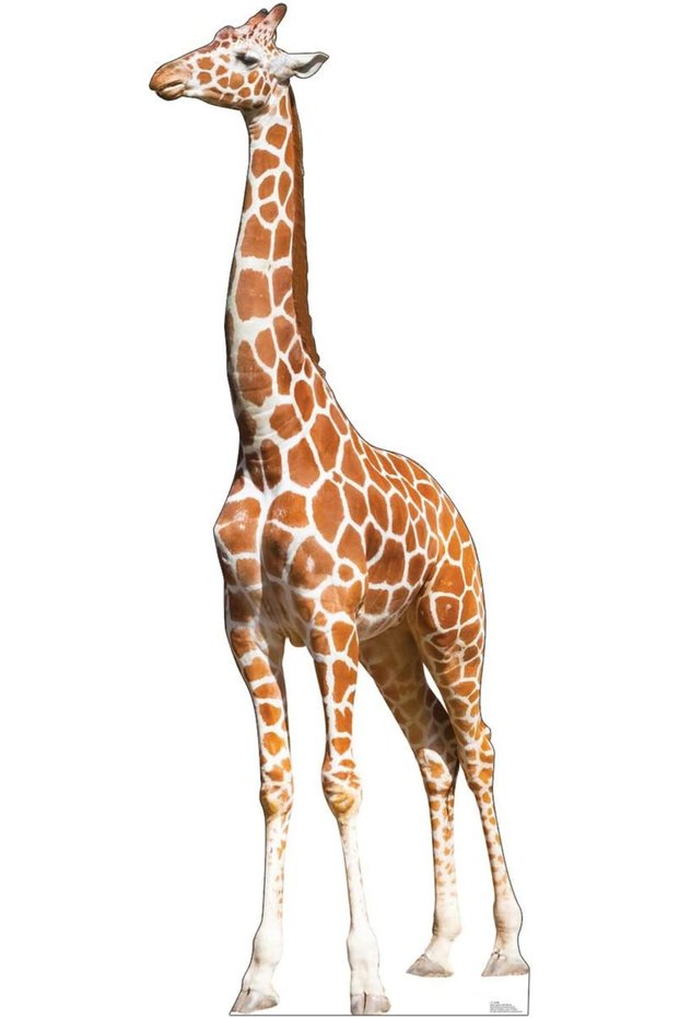 Giraffe Cardboard Cutout