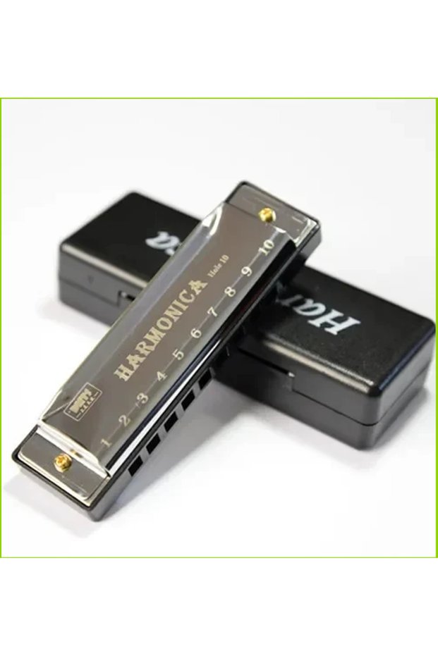 Silver Multicolored Harmonica Key of C 10 Hole Diatonic Harmonica C with Case for Beginner Students