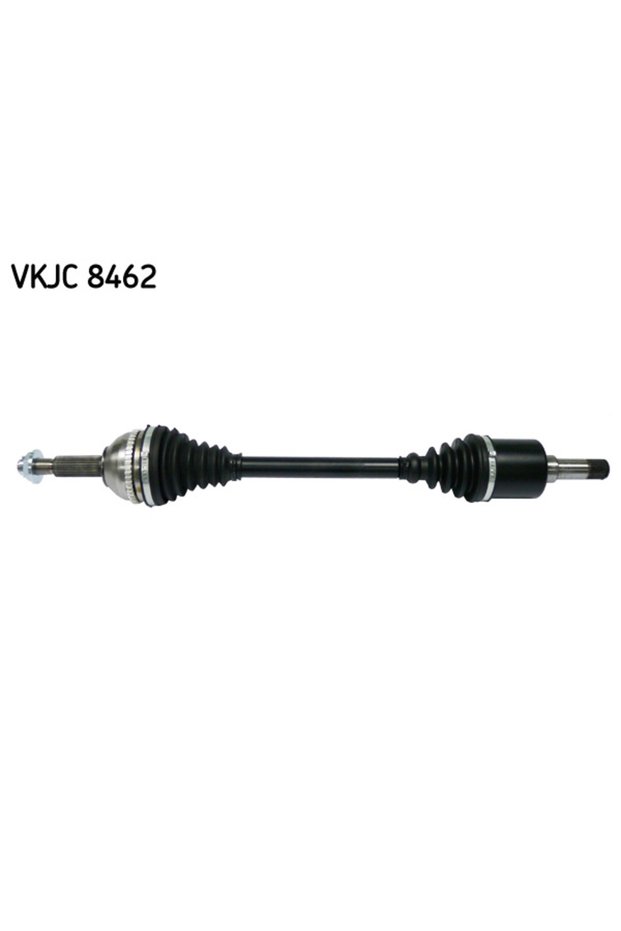 Planetara VKJC 8462