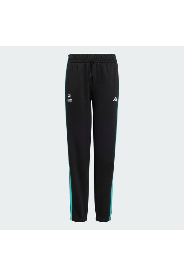 MERCEDES - AMG PETRONAS FORMULA 1 TEAM DNA PANT