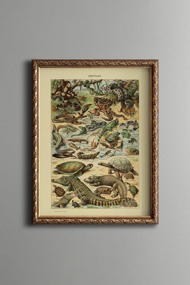 Reptiles - Vintage Patterned Painting - Slim Model