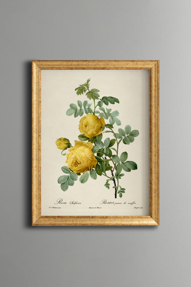 Yellow Rose Branch - Vintage Patterned Painting - Slim Model